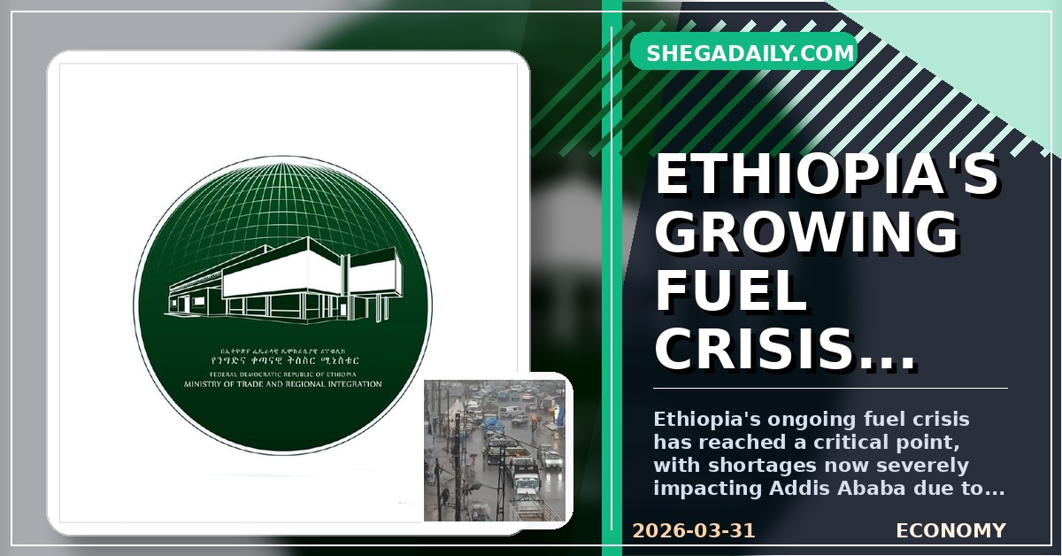 Ethiopia's Persistent Fuel Crisis: Corruption, Conflict, and Supply Shortages