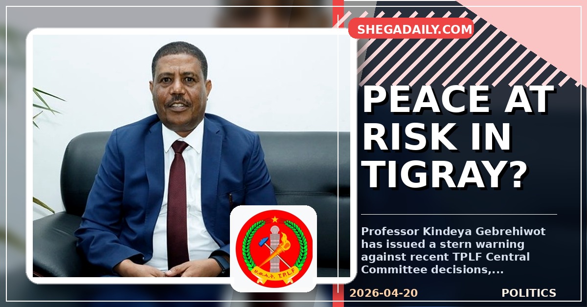 Professor Kindeya Gebrehiwot Slams TPLF Decisions, Warns of Threats to Pretoria Peace Deal